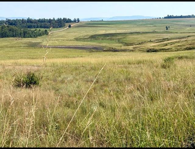 FARM FOR SALE IN NEWCASTLE RURAL